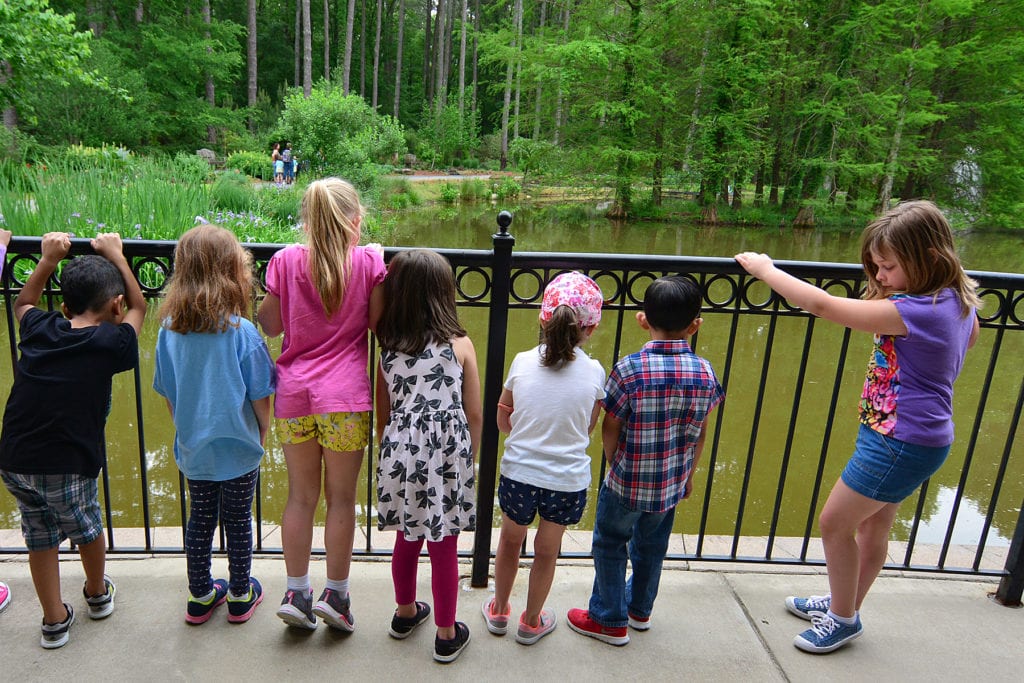 nc arboretum field trips