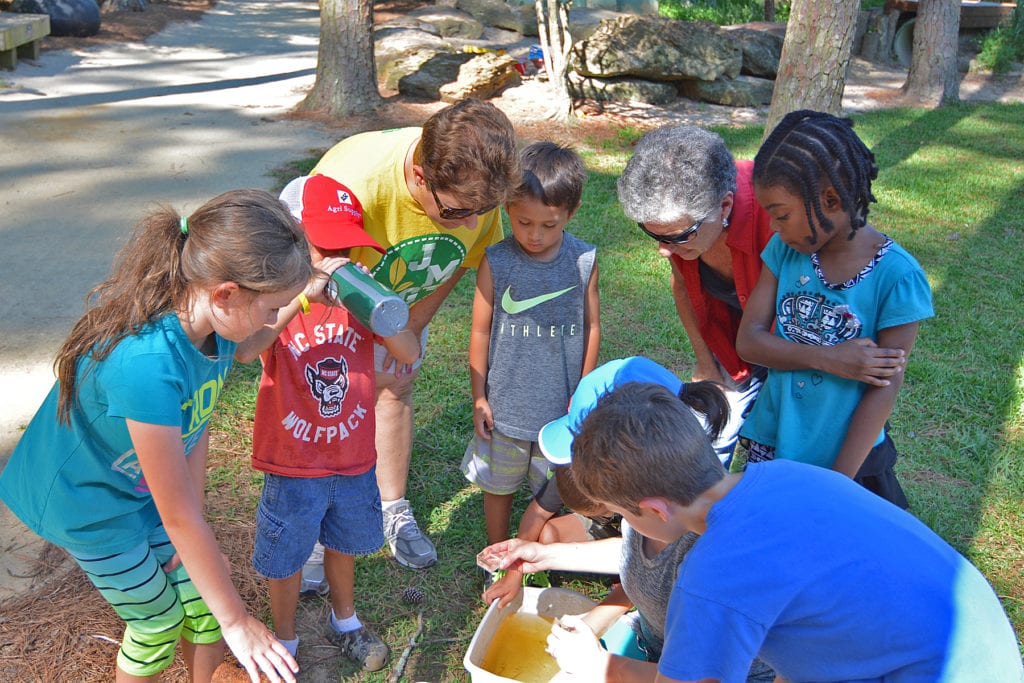 nc arboretum field trips