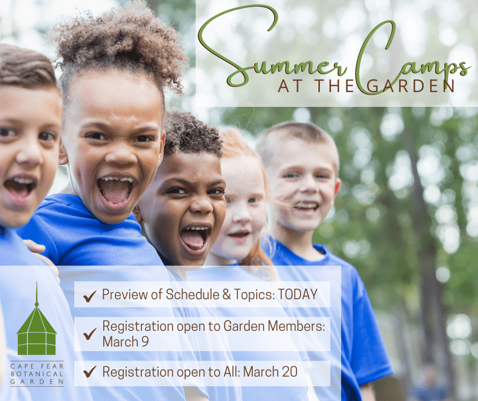 Botanical Gardens Summer Camp: Discover Nature's Wonders