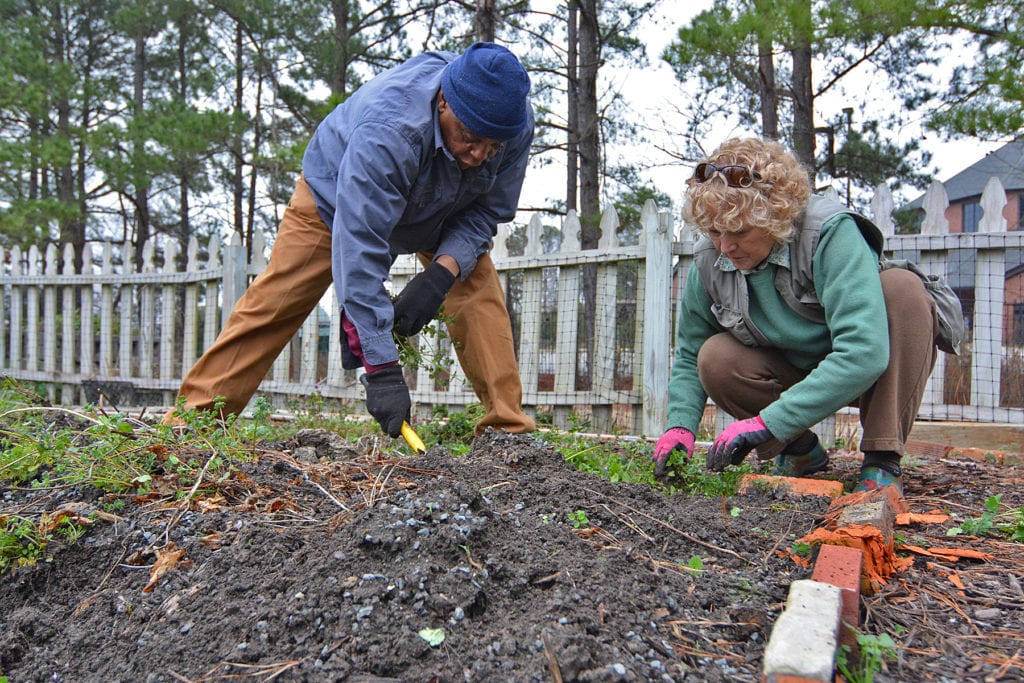 Volunteer | Cape Fear Botanical Garden