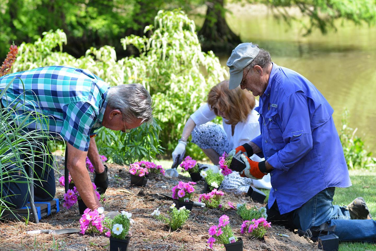 Therapeutic horticulture with veterans